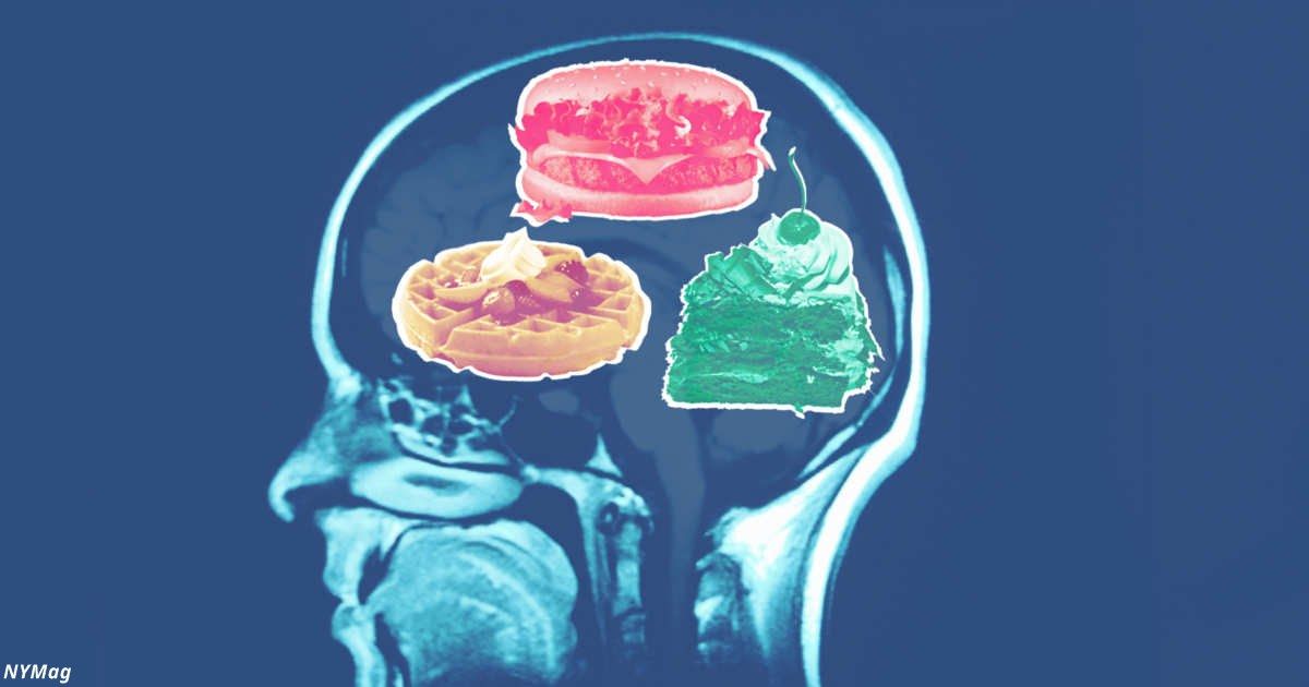 Мозг и еда дэвида. Мозг самые лучшие на обои. Слабоумие от сладкого.