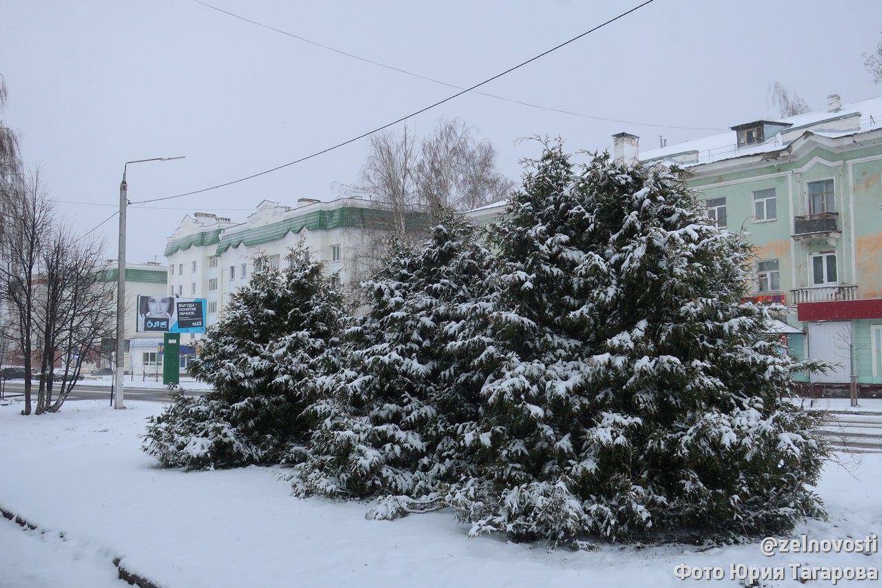 Фотоподборка: "Снегопад. Почему именно в апреле, а не в декабре?"