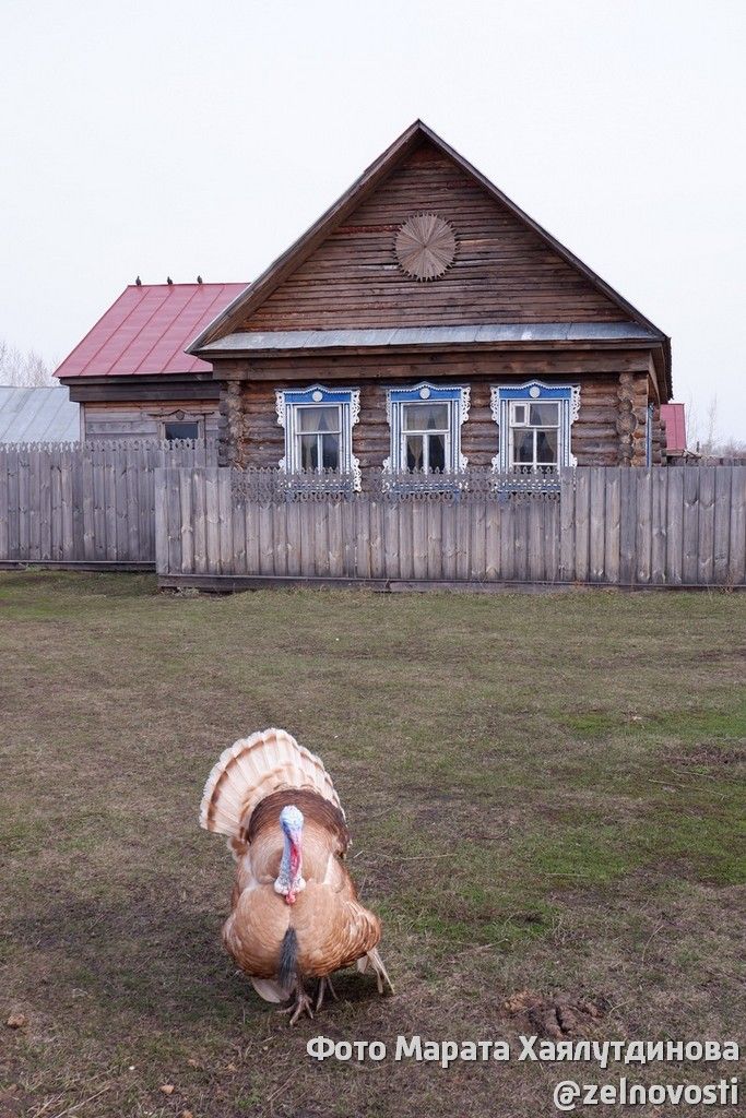 Зулейха и «Татар авылы»: Почему кинематографисты выбрали для съёмок музей Зеленодольского района