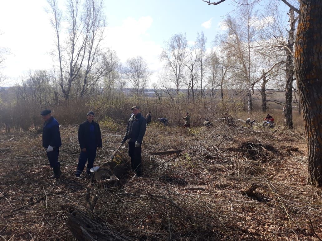 Жители сел в Зеленодольском районе очистили от сухой травы и засохших кустарников местные кладбища