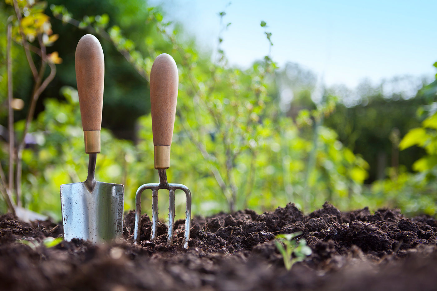 Planting vegetables. Сад и огород. Огород ранней весной. Работа в огороде.