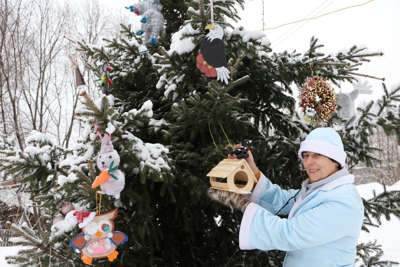 В поселке Садовый Раифского сельского поселения каждый год радует жителей и удивляет гостей необычная елка