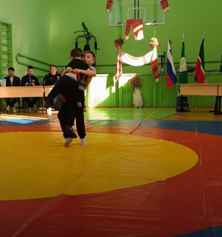 В Зеленодольском районе прошел турнир по национальной борьбе корэш в память знаменитых борцов-батыров Сабантуев