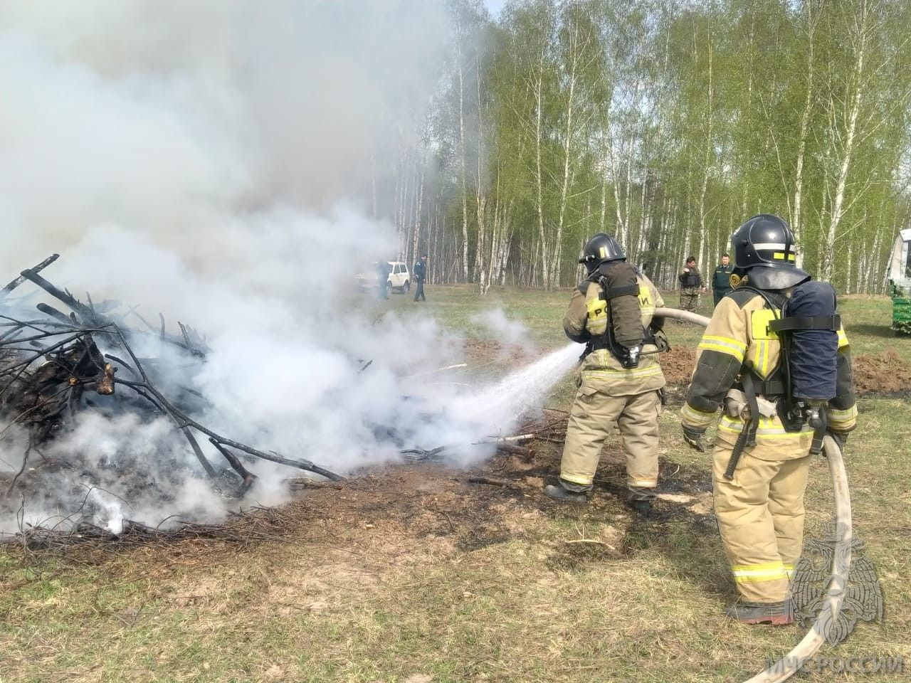 Названа основная причина пожаров в лесных зонах Зеленодольского района