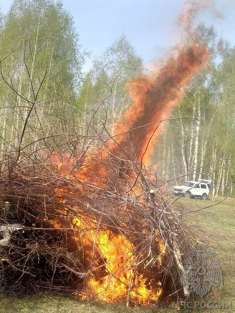 Названа основная причина пожаров в лесных зонах Зеленодольского района