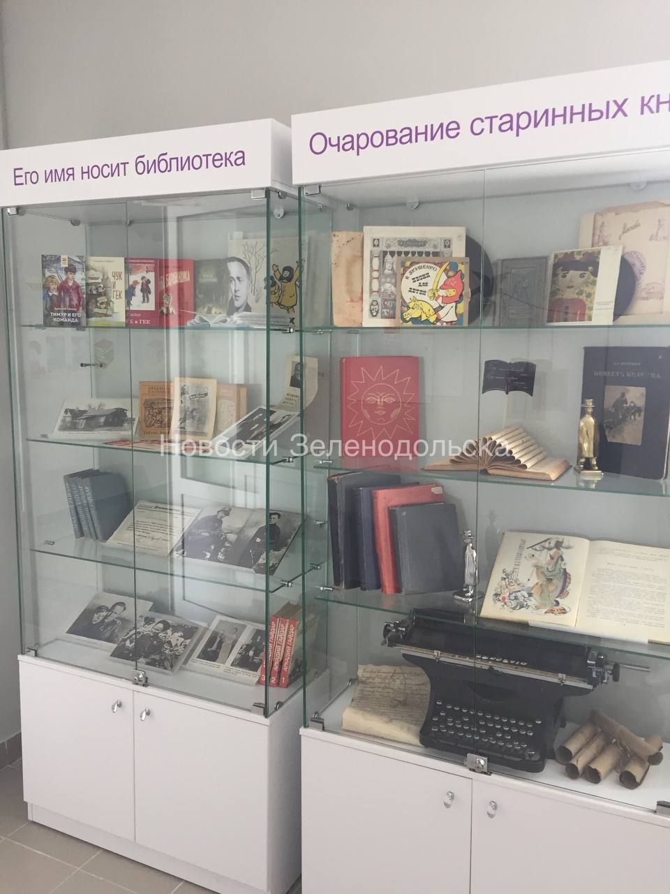 В Зеленодольске состоялось открытие Центральной детской модельной библиотеки