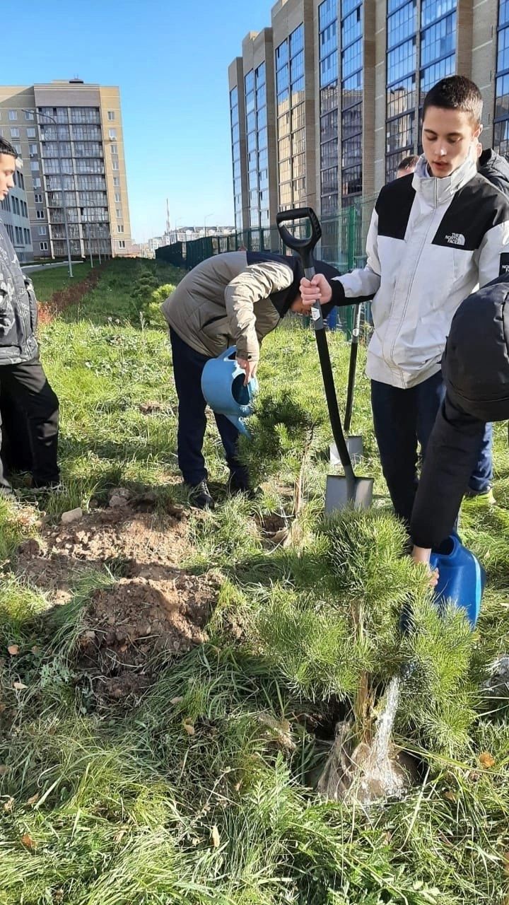 Воспитанники Зеленодольского школьного лесничества и сотрудники «Зеленодольского опытного лесхоза» облагородили соснами территорию лицея им. В.В. Карпова