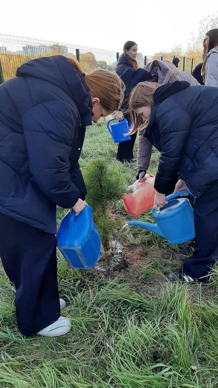 Воспитанники Зеленодольского школьного лесничества и сотрудники «Зеленодольского опытного лесхоза» облагородили соснами территорию лицея им. В.В. Карпова