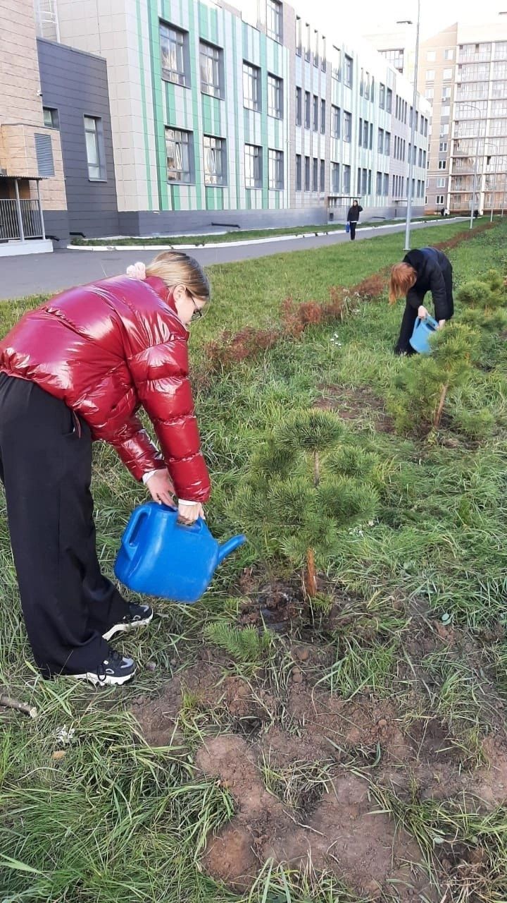 Воспитанники Зеленодольского школьного лесничества и сотрудники «Зеленодольского опытного лесхоза» облагородили соснами территорию лицея им. В.В. Карпова