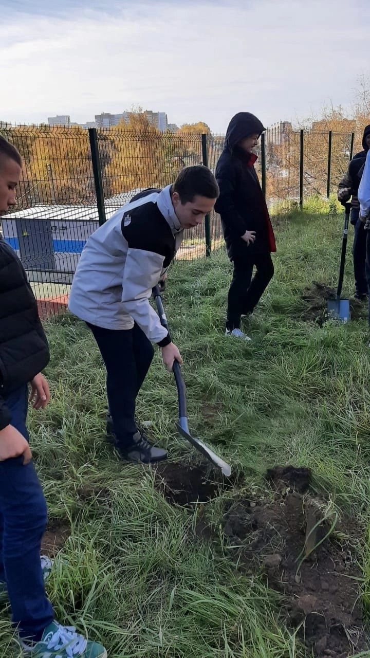 Воспитанники Зеленодольского школьного лесничества и сотрудники «Зеленодольского опытного лесхоза» облагородили соснами территорию лицея им. В.В. Карпова