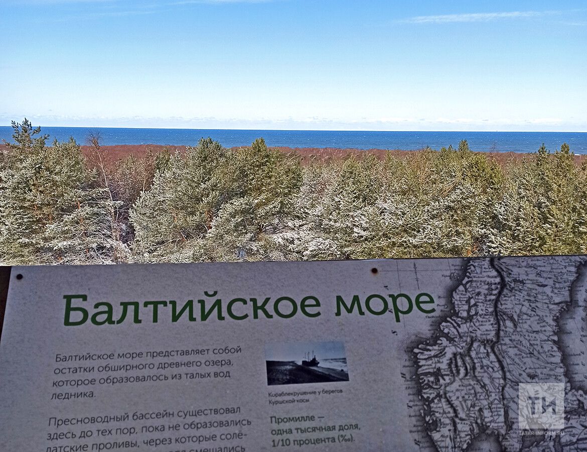 Границы РФ в Балтийском море предложено изменить
