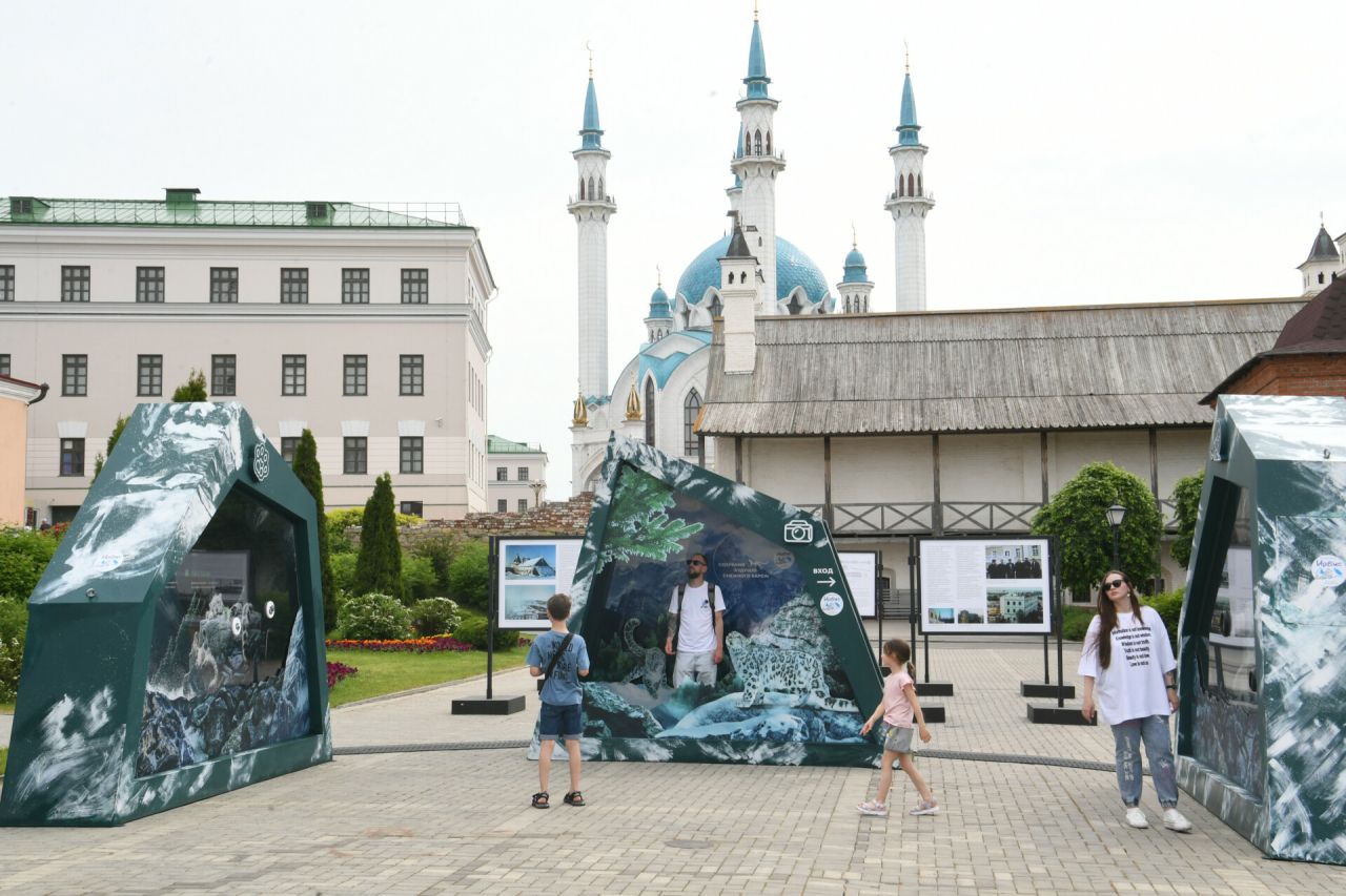 В Казанском Кремле открылась интерактивная выставка «Ирбис. Кошка-невидимка»: посмотрите на мир глазами барса
