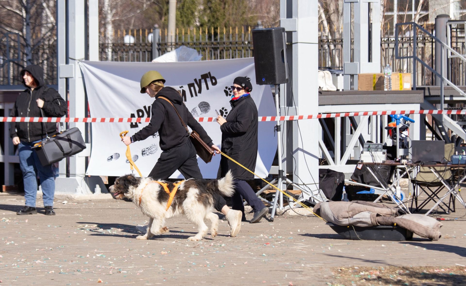 В Зеленодольске прошла спортивно-патриотическая эстафета «Фронтовые собаки»