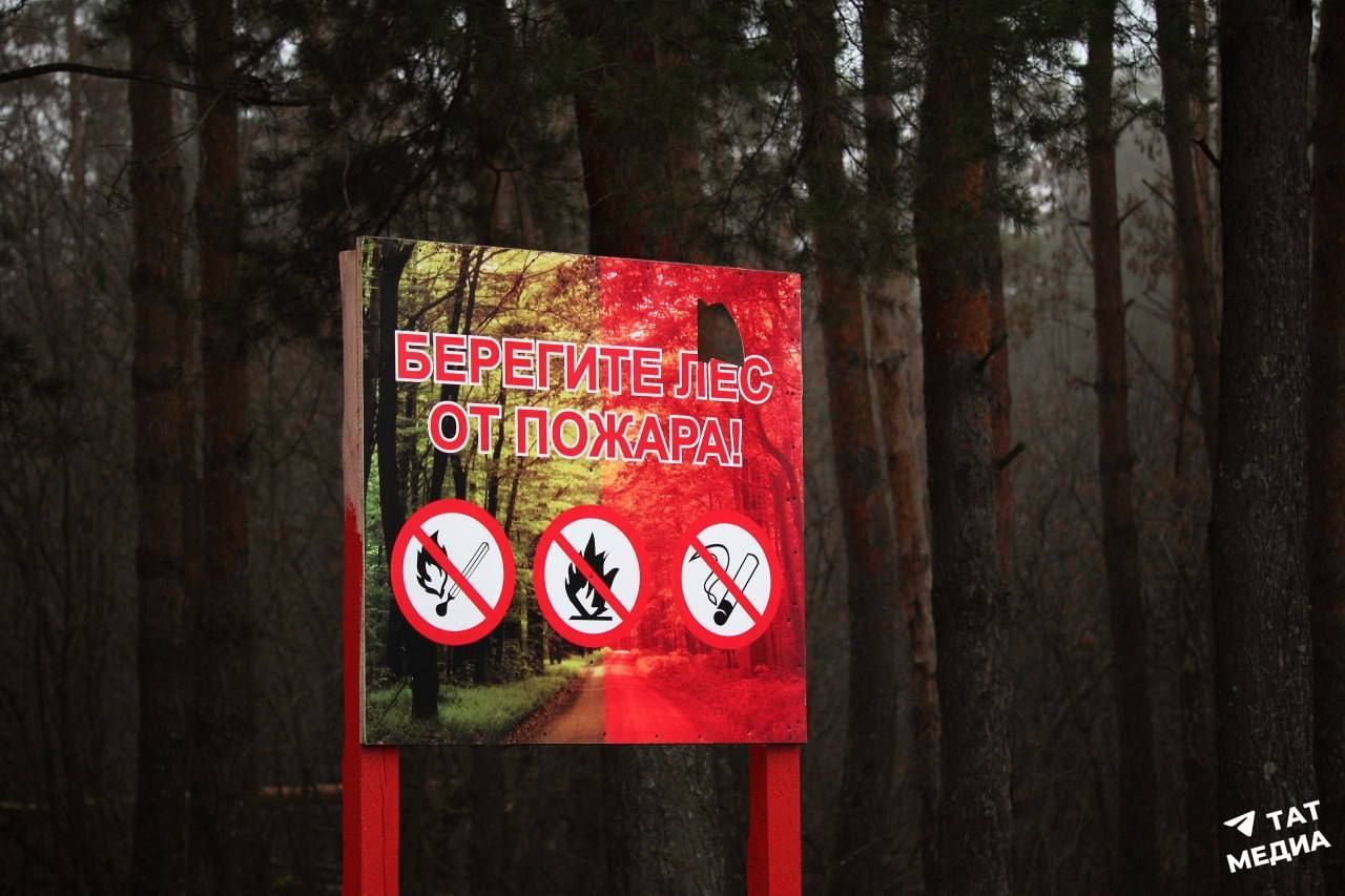 С 1 апреля на территории земель лесного фонда в границах Республики Татарстан открыт пожароопасный сезон