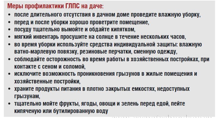 Роспотребнадзор: как защититься от геморрагической лихорадки с почечным синдромом