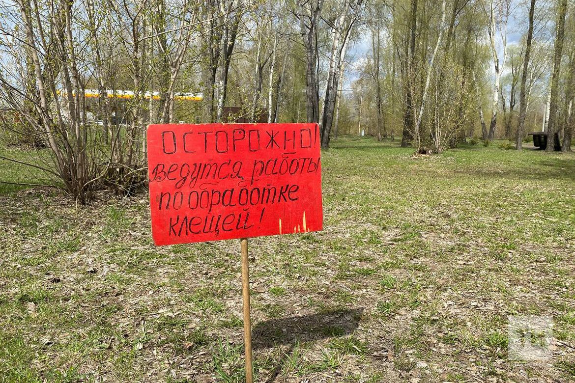 Как избежать укуса клеща