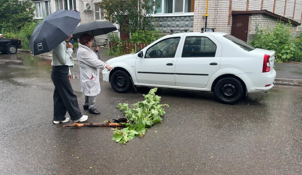 Зеленодольцы обеспокоены: На дорогах образовались опасные провалы в асфальте
