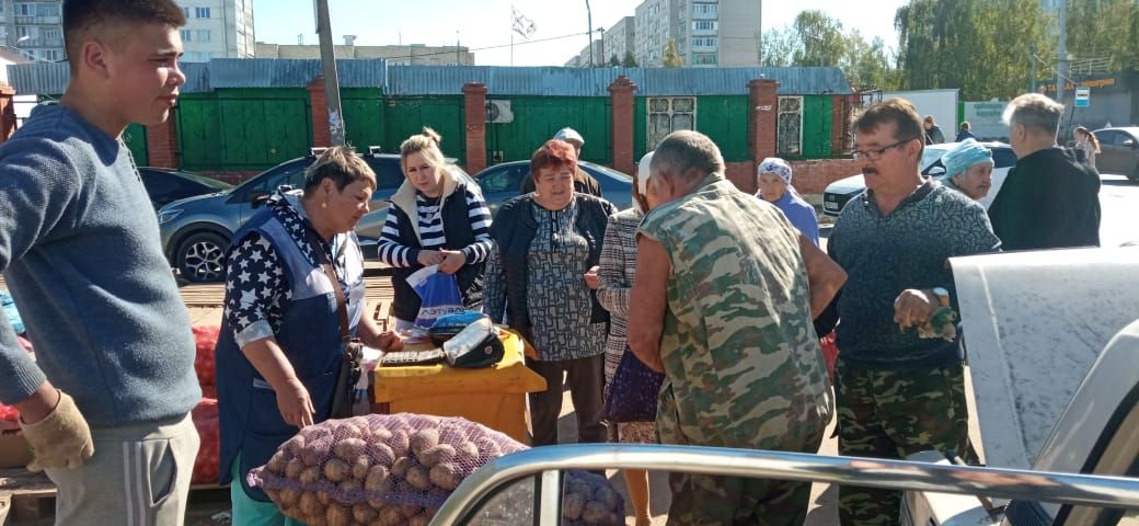 В Зеленодольском районе стартовали традиционные осенние сельскохозяйственные ярмарки