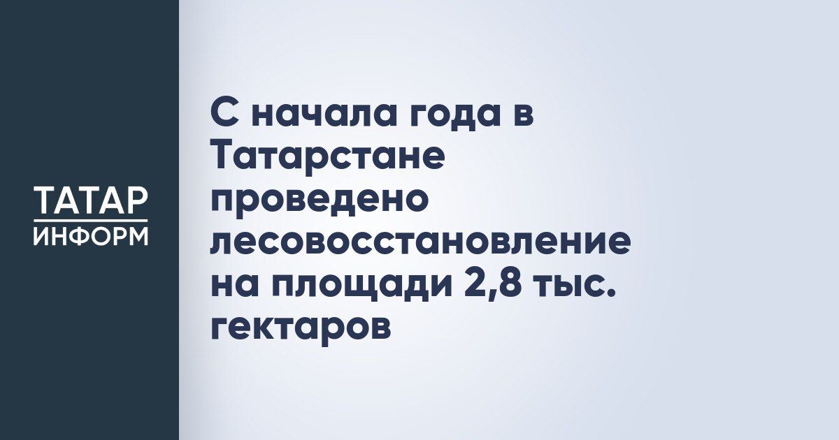 В Татарстане с начала года восстановлено 2,8 тыс. гектаров леса