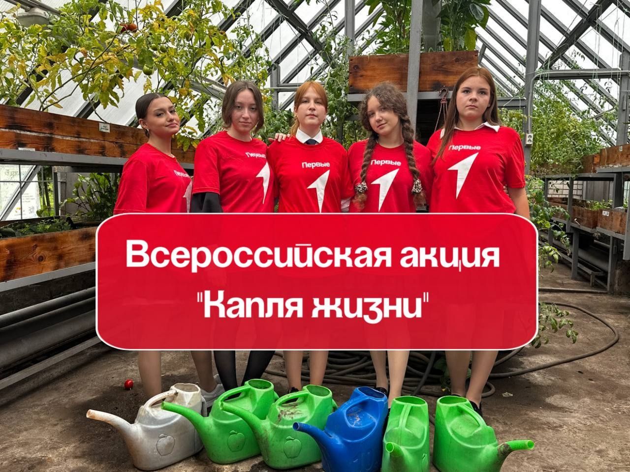 Зеленодольские лицеисты-активисты «Движения Первых» приняли участие во Всероссийской акции «Капля жизни»