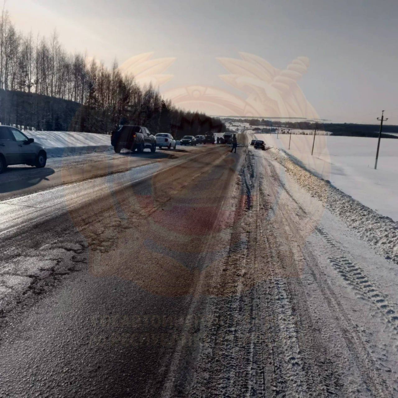 В Агрызском районе произошло смертельное ДТП с «КамАЗом»  — организована проверка
