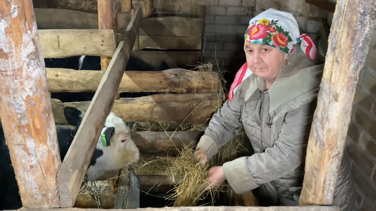 Семья в селе Каратмень  Зеленодольского района строит бизнес на государственные субсидии