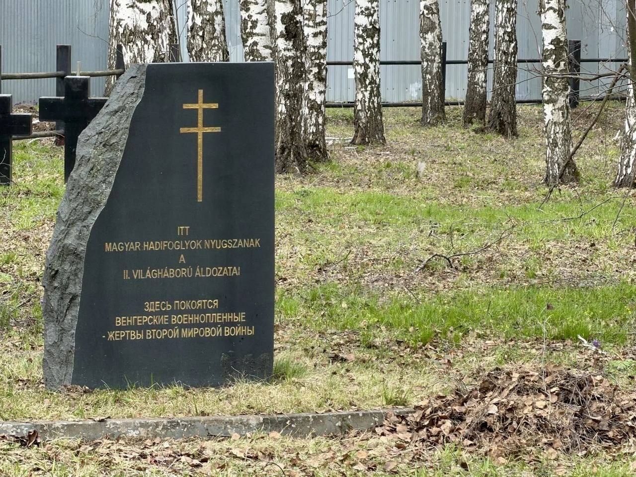 Первые из Зеленодольского лицея №9 провели уборку на кладбище военнопленных