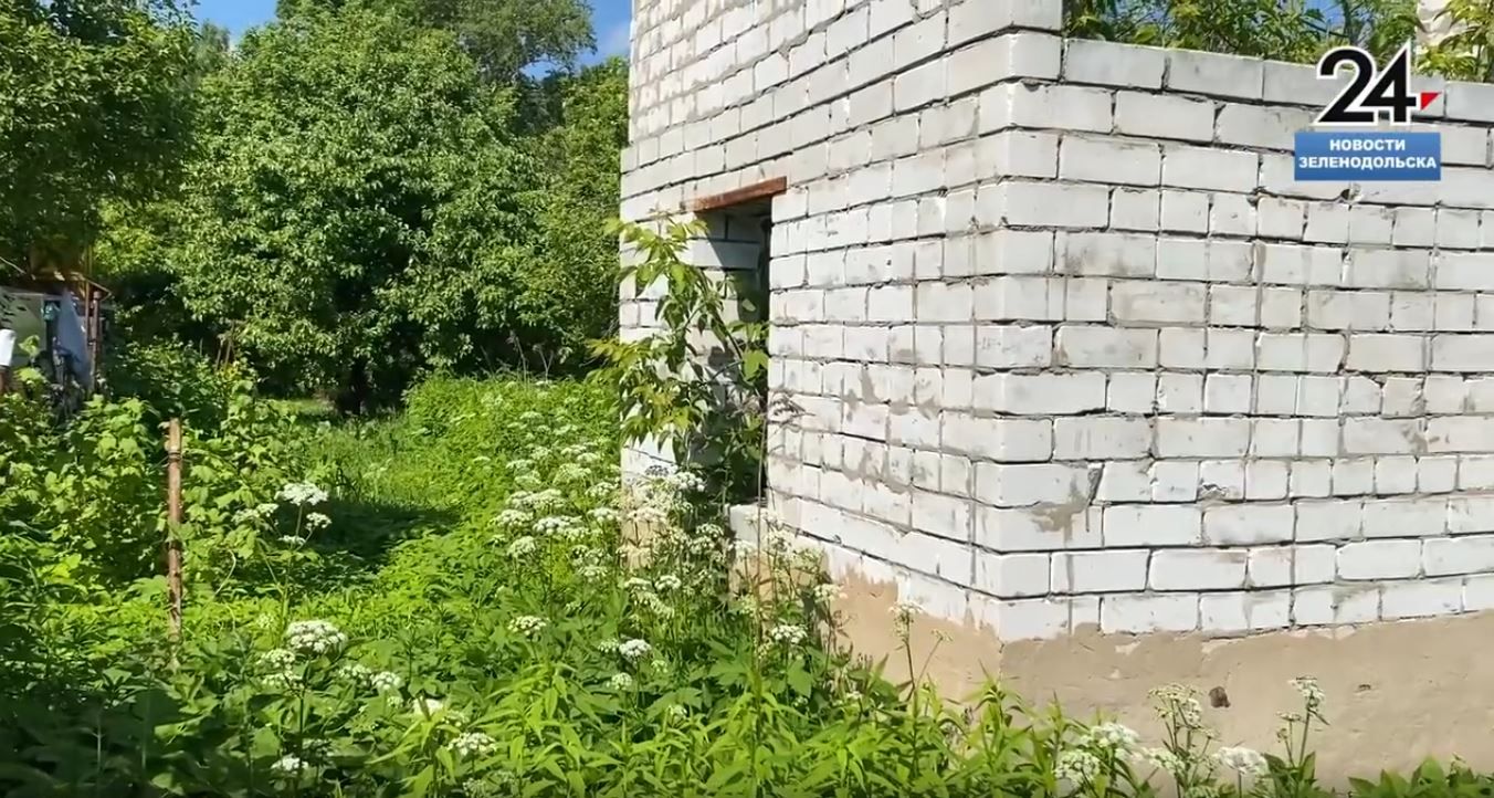 Росреестр поясняет: Фальшивые штрафы за реальные сорняки