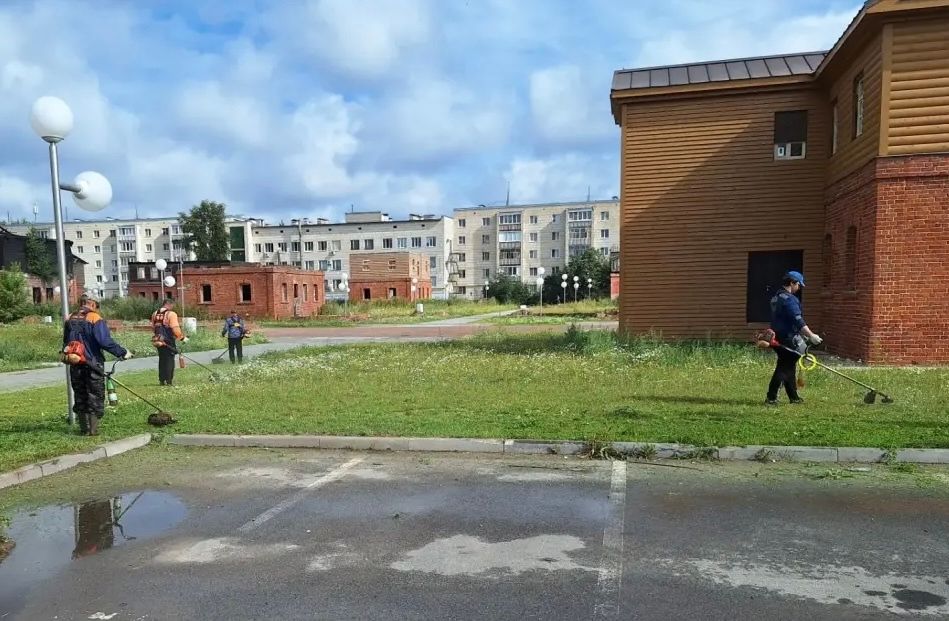 Более 100 тысяч цветов и новые скамейки: как преображаются парки и скверы Зеленодольска