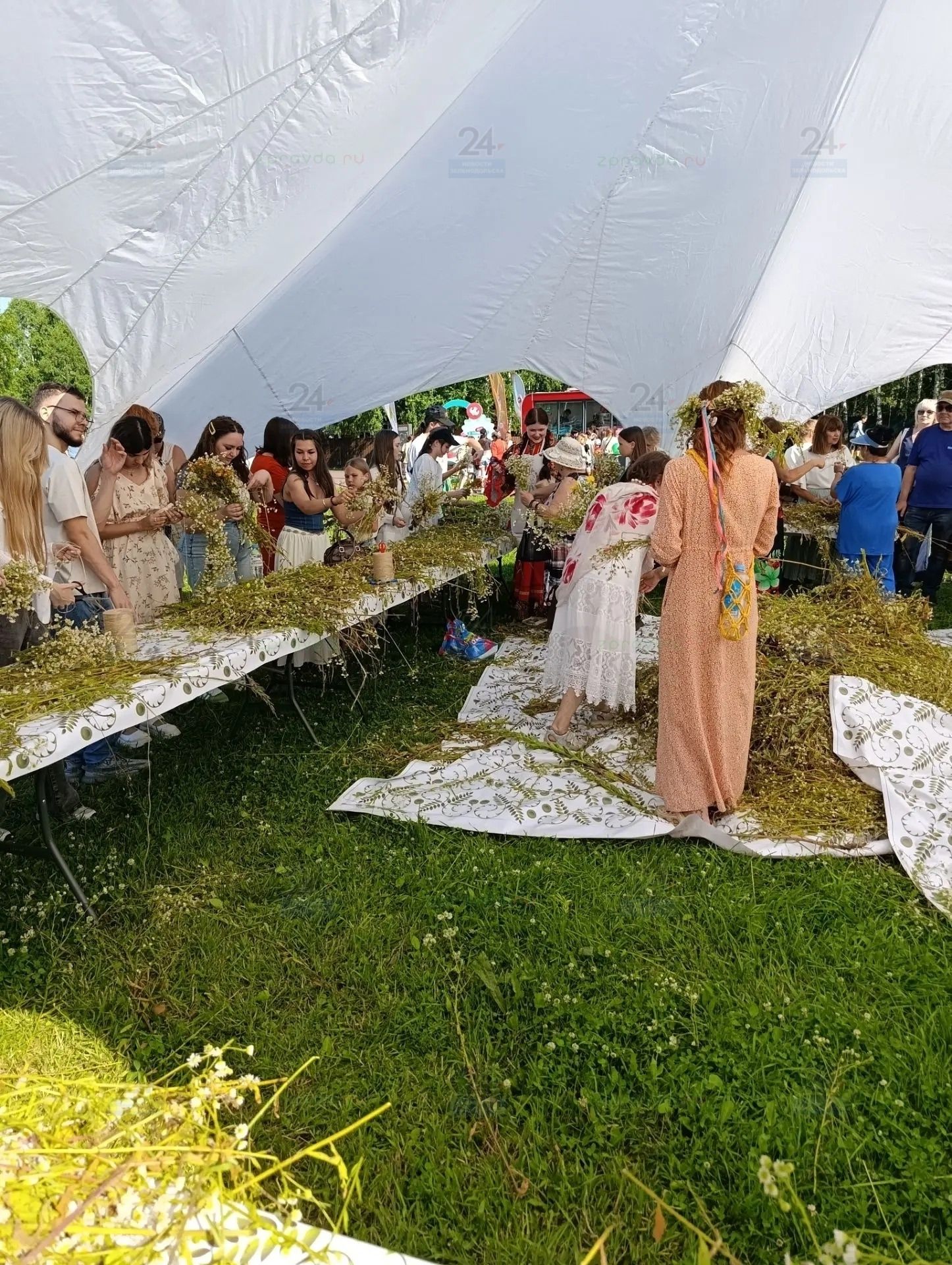 Магия трав и солнца
