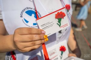 Акция «Красная гвоздика» объединила более 20 районов Татарстана