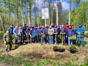 Сотрудники МЧС в Зеленодольске высадили деревья в память о жертвах войны
