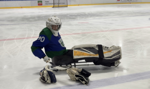 ТАТСИБ готовится к финалу чемпионата России: решающие матчи пройдут в Дзержинске