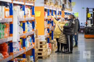 Бесплатными услугами для развития бизнеса воспользовались более 20 тысяч татарстанцев