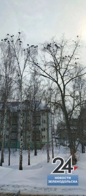 В Татарстане до начала следующей недели сохранится нехарактерно тёплая и сухая погода, сообщают синоптики Гидрометцентра республики