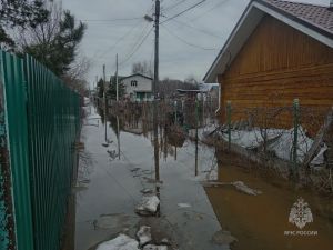В п. Васильево Зеленодольского района произошло подтопление 30 дачных участков