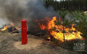 В Татарстане продлили штормовое предупреждение из-за высокой пожарной опасности лесов