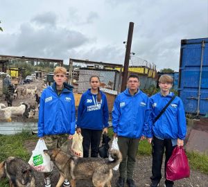 Зеленодольские молодогвардейцы привезли корм в приют «Кот и Пёс»
