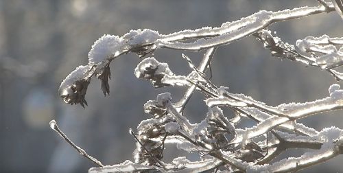 Зима пошла на рекорд: Как аномальные морозы отразились по всему Зеленодольску