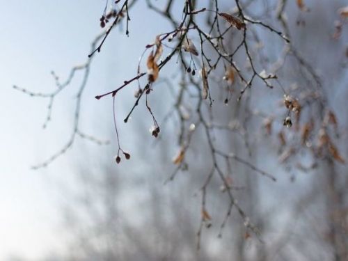 «Апрель сделает нам всем подлянку». Синоптики дали новый прогноз на середину весны