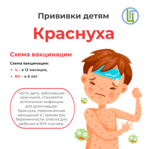 Санитарный щит — безопасность для здоровья