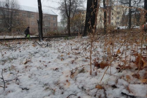 Санитарный щит — безопасность для здоровья