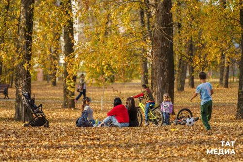 Социальные выплаты в 2024 году вырастут на 7,5%