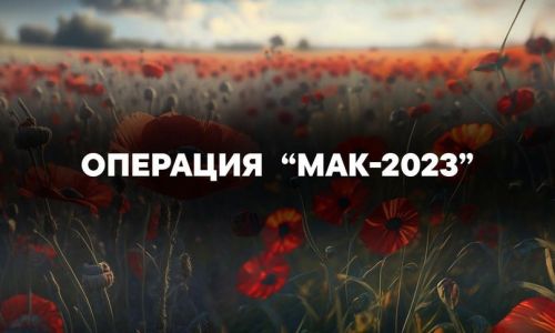 Изъяли растения, несущие смерть: В Зеленодольске завершилась оперативно-профилактическая операция «Мак-2023»