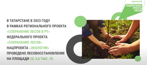 В Татарстане восстанавливают лес на площади 3,6 тыс. га