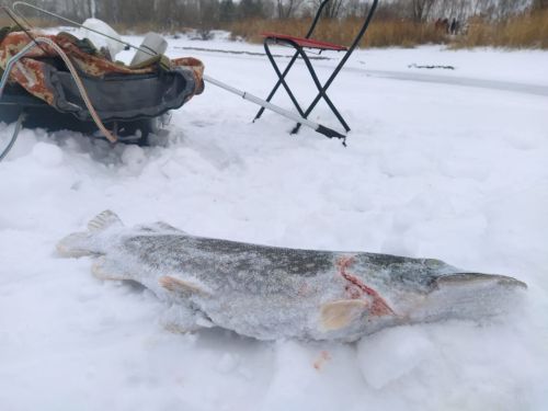 «Выход на лед опасен!»: Какое наказание предусмотрено для любителей зимней рыбалки