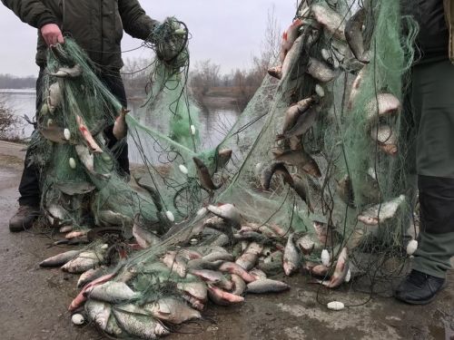 Зеленодольская прокуратура через суд добивается взыскания ущерба, нанесённого браконьерами, которых осудили еще в марте 2020 года