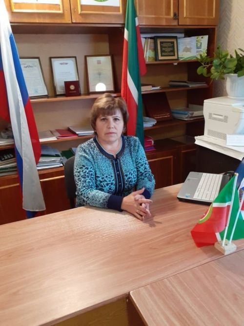 В Русском Азелеево обозначили проблемные вопросы