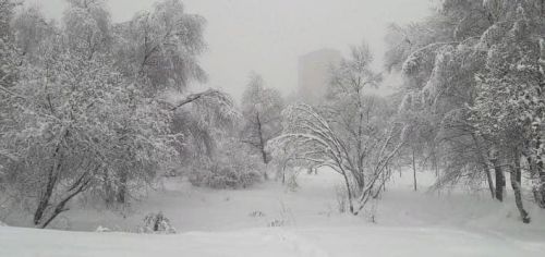 «Начнется 14 февраля и будет 144 часа подряд». Синоптики сказали, что это будет