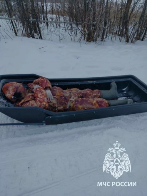 Со льда Волги в пгт.Васильево спасли пьяного рыбака, который сам не смог дойти до берега